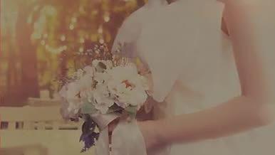 水彩风婚礼相册模板视频的预览图